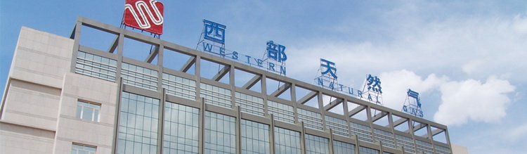 內(nèi)蒙古西部天然氣股份有限公司部署華騰高清視頻會議系統(tǒng)(圖1)